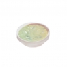 Salsa Blanca para Ensaladas